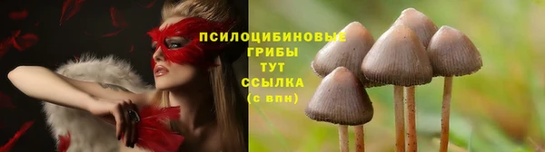 бутират Алзамай