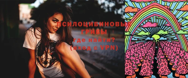 PSILOCYBIN Алексин